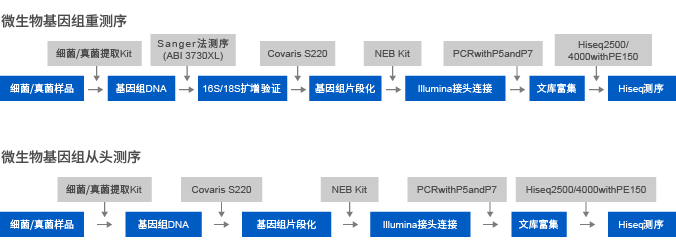 2_微生物基因组测序-1